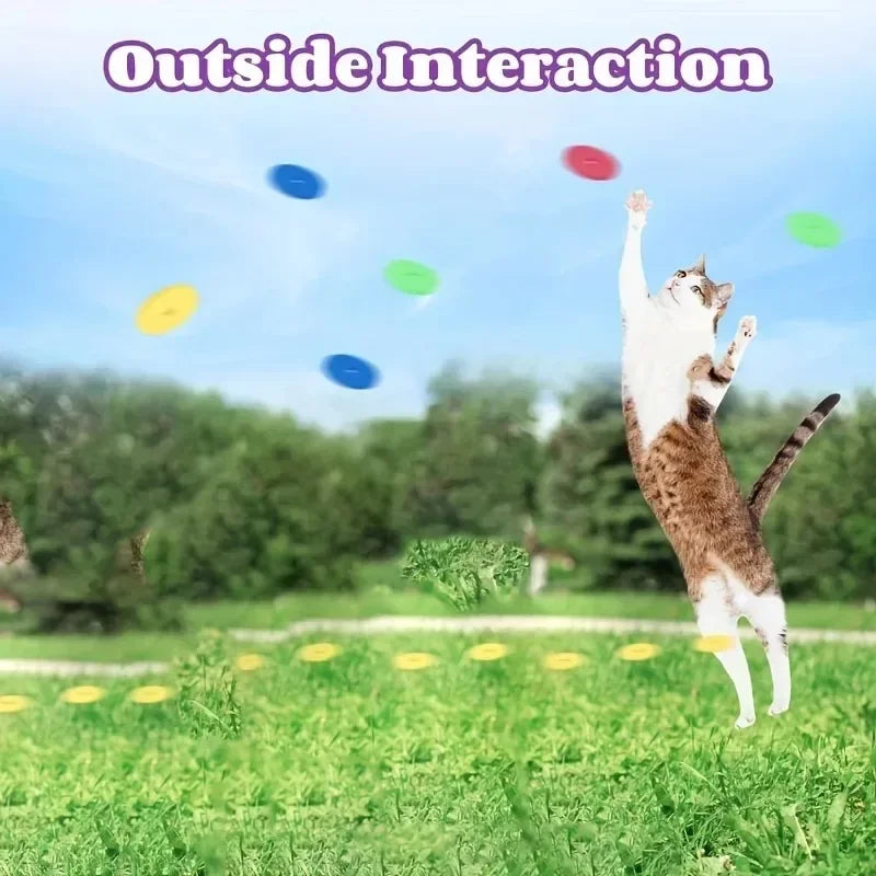 Turnip Gun Cat Launcher Toy