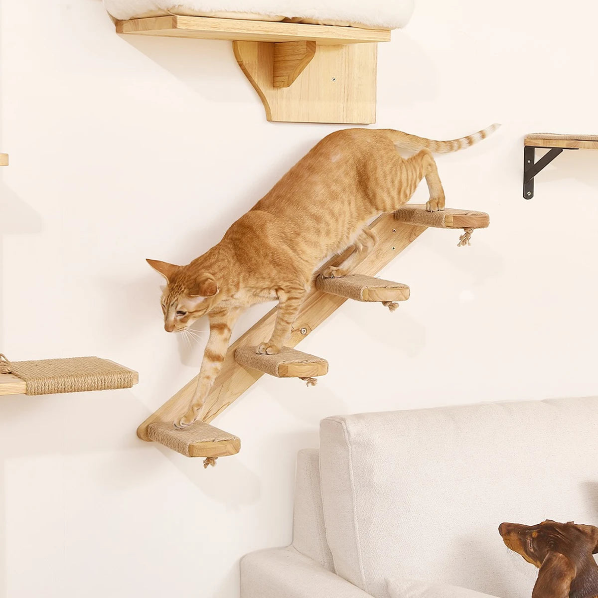 Wall Mounted Cat Climbing Hammock