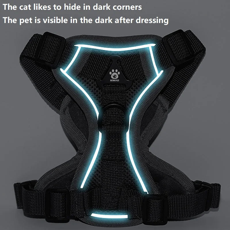 Anti-Escape Cat Harness & Leash