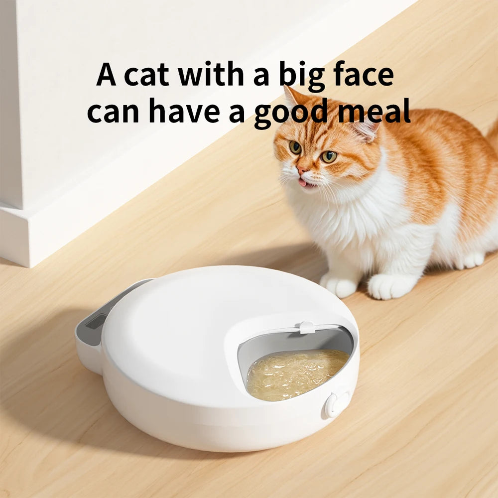 4-Meal Automatic Dry Wet Feeder