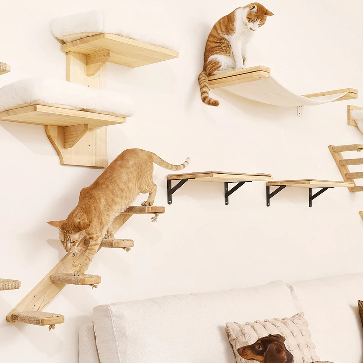Wall Mounted Cat Climbing Hammock