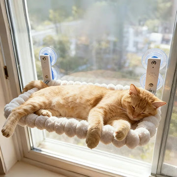 Suction Cup Window Cat Hammock
