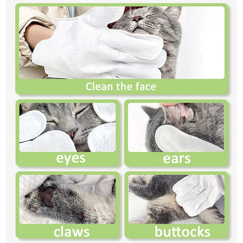 Waterless cat Cleaning Gloves