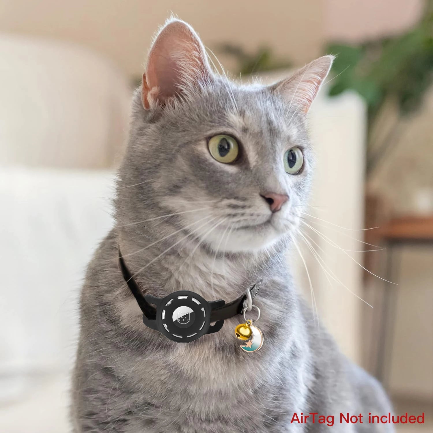 Leather Cat Collar with Bell & AirTag Holder