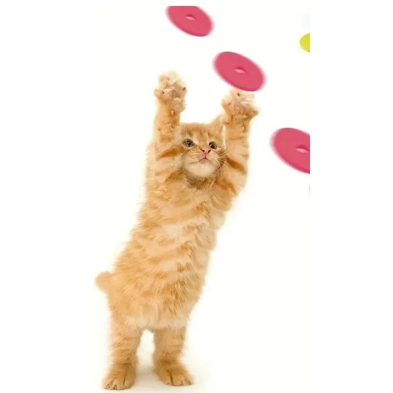 Turnip Gun Cat Launcher Toy