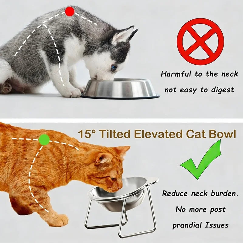 Tilted Neck Guard Cat Bowl