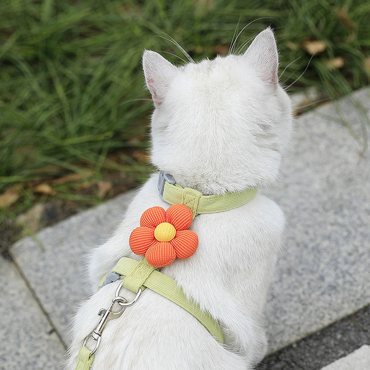 Adjustable Cat Harness Leash Set