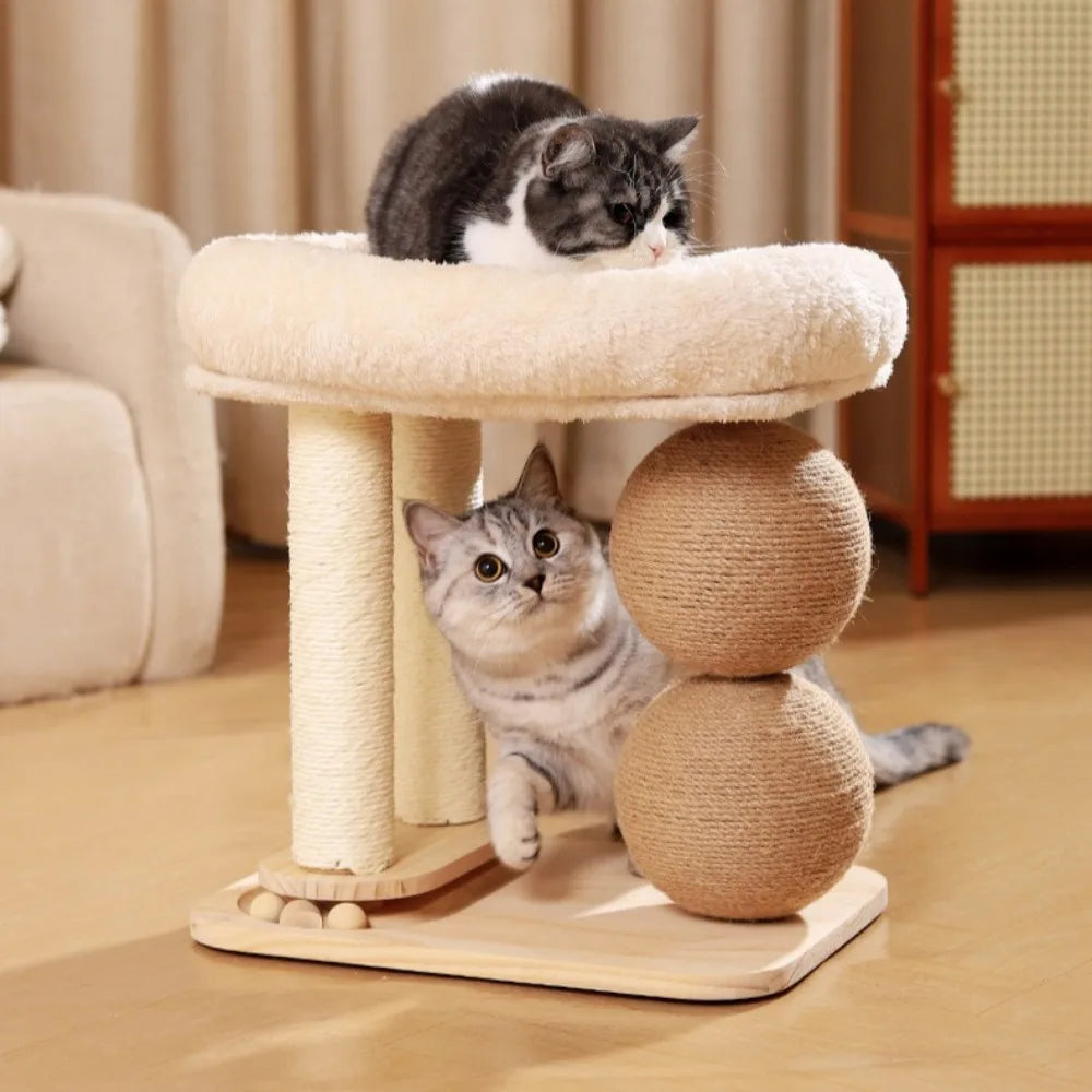collection-banner-image