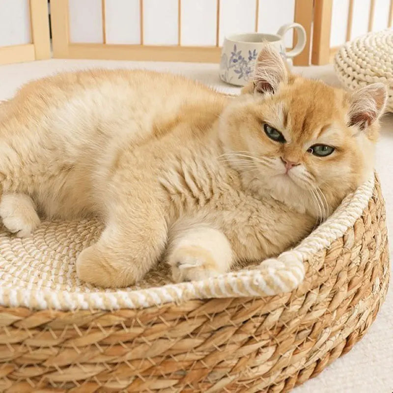 Rattan Woven Cat Scratch Board