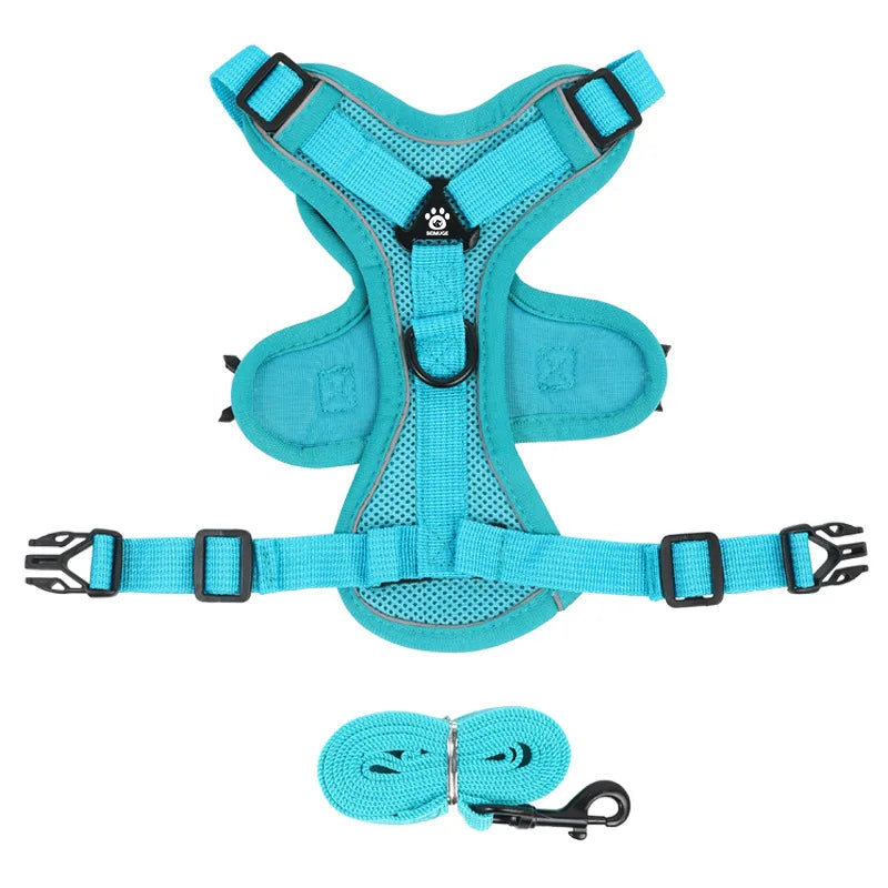 Anti-Escape Cat Harness & Leash