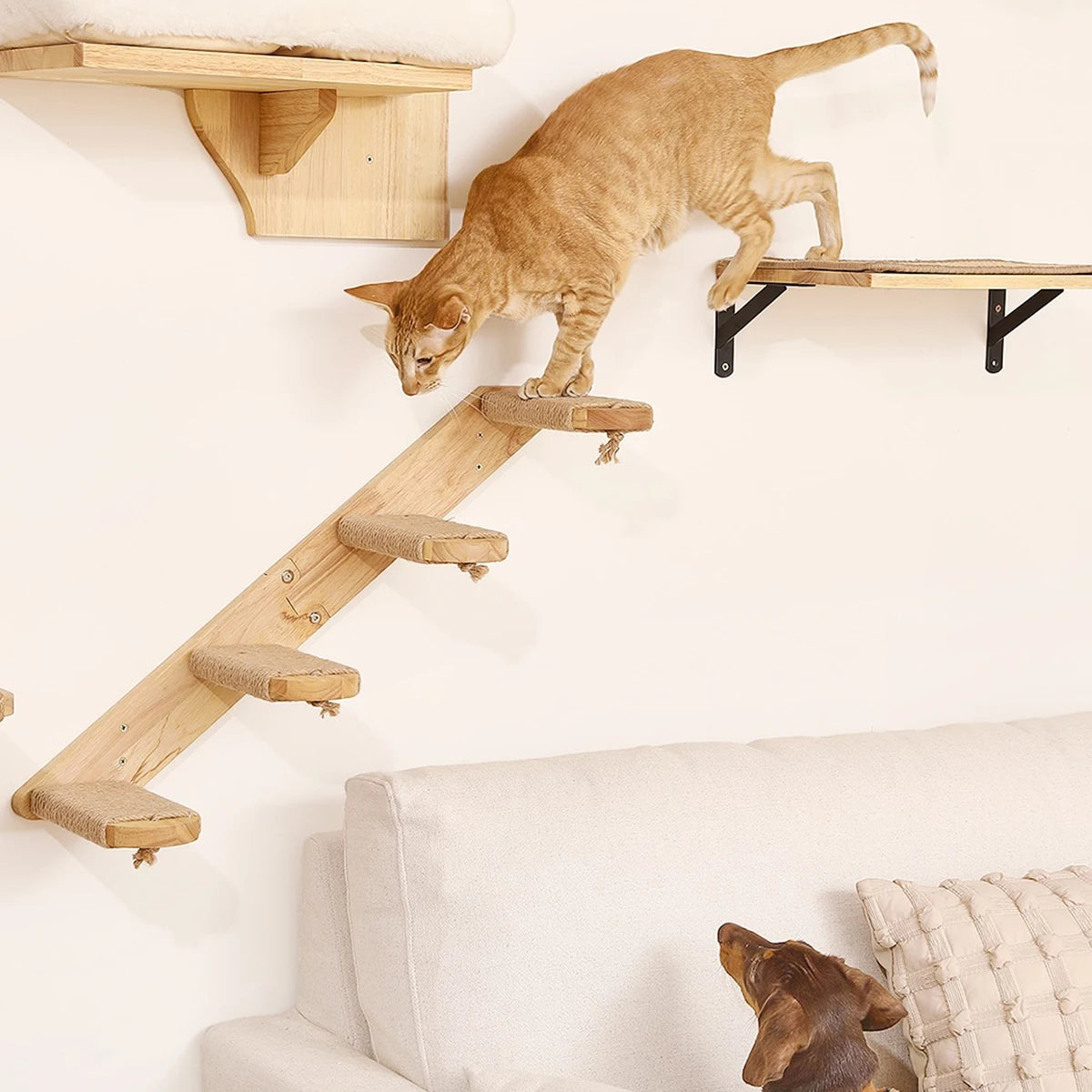 Wall Mounted Cat Climbing Hammock