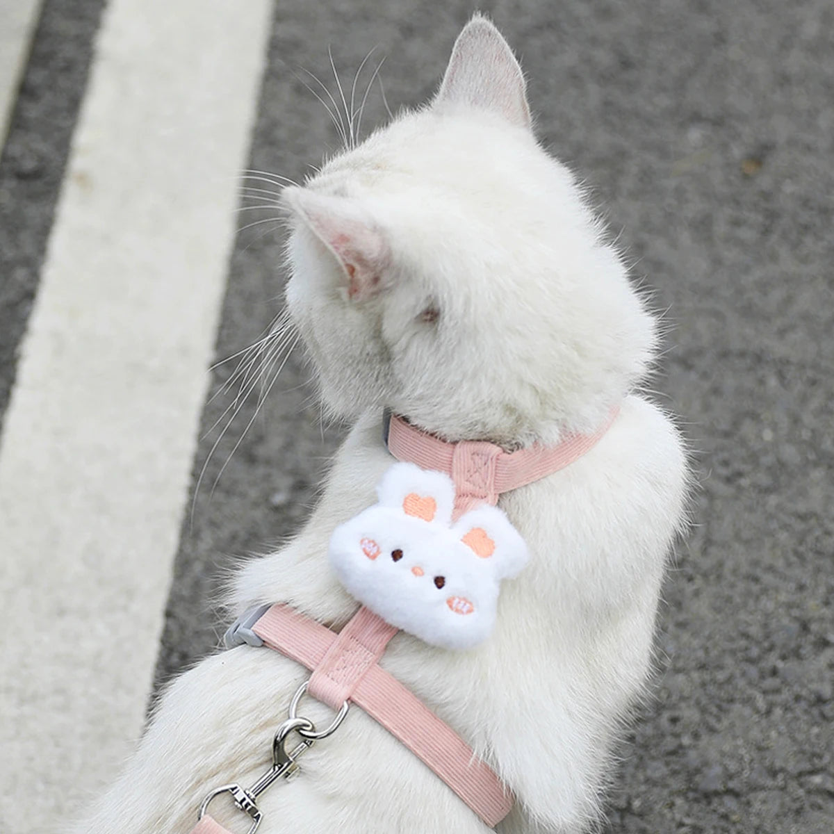 Adjustable Cat Harness Leash Set