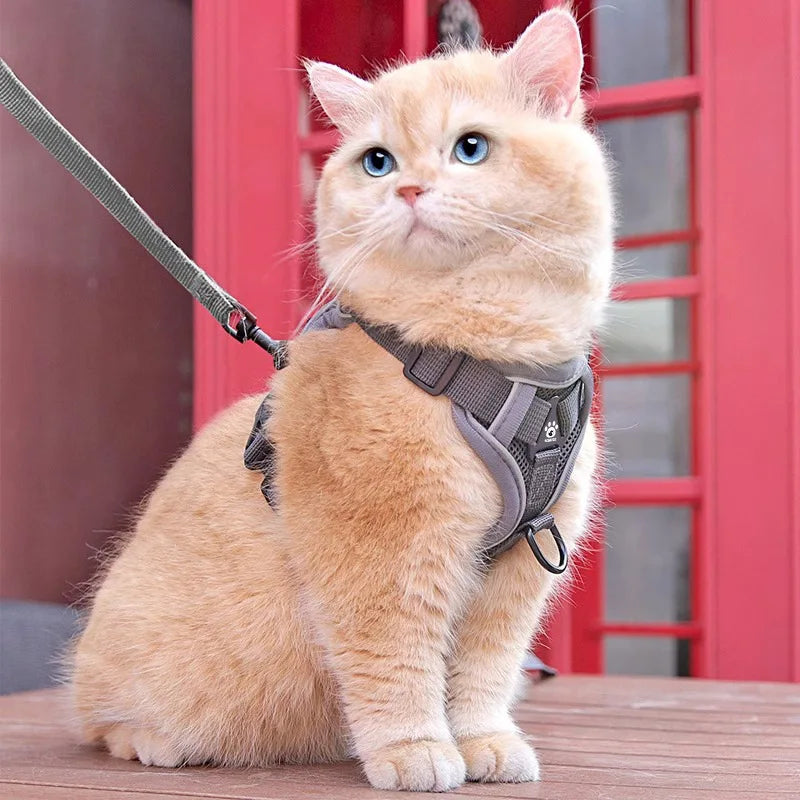 Anti-Escape Cat Harness & Leash