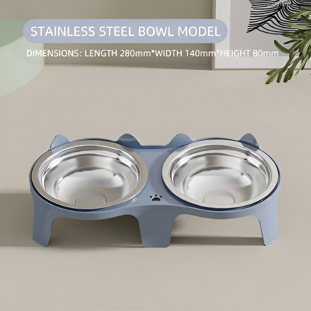 2-in-1 Cat Food Bowl Set