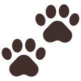 Curated for Cats